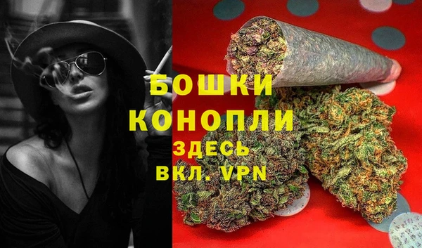 ГАЛЛЮЦИНОГЕННЫЕ ГРИБЫ Приозерск