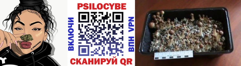 гидра ONION  наркотики  Верхний Тагил  Галлюциногенные грибы Psilocybe 